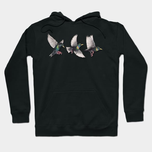 Starling Trio Hoodie by somekindofguru